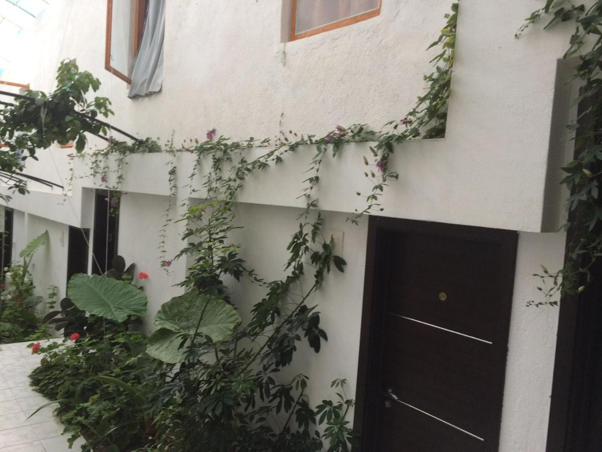 Family Hotel Belvedere Dŭlgopol Dış mekan fotoğraf