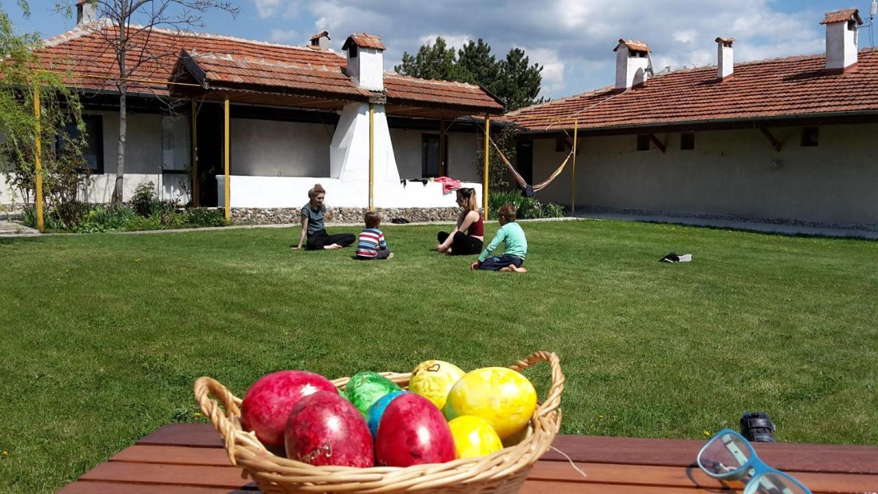Family Hotel Belvedere Dŭlgopol Dış mekan fotoğraf