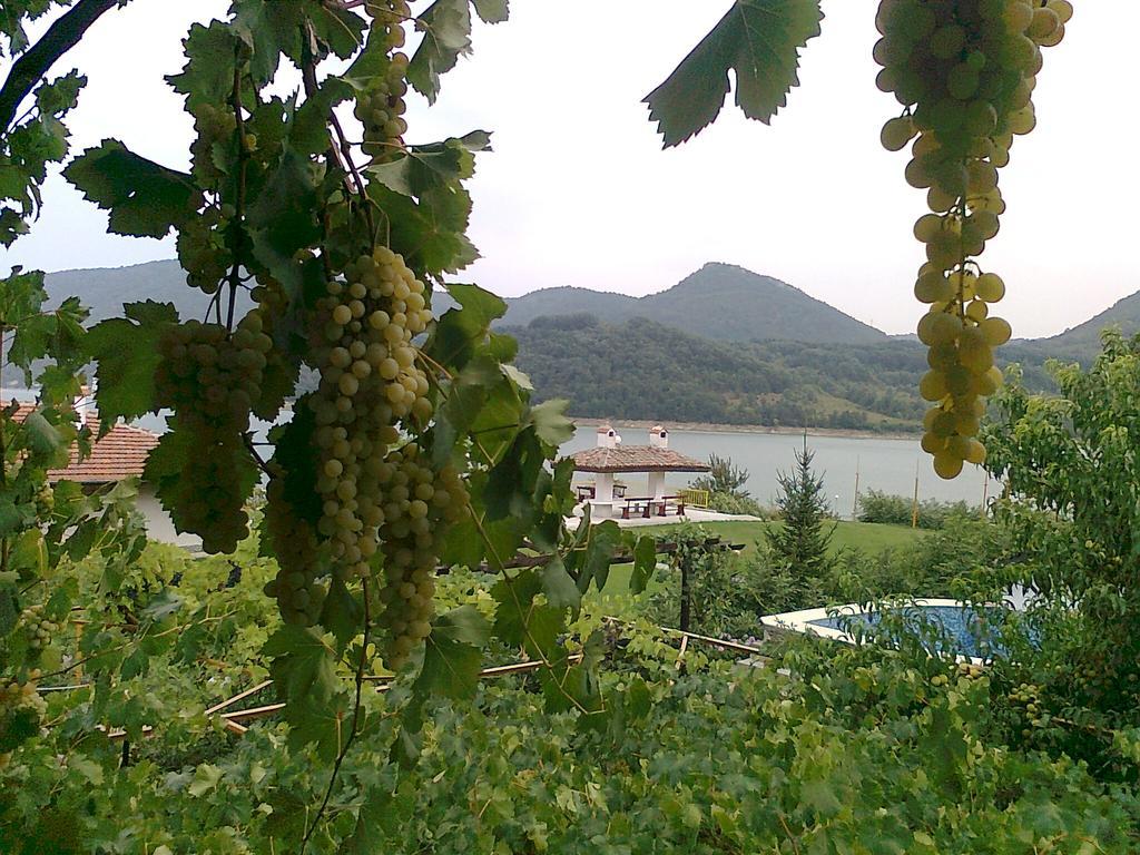 Family Hotel Belvedere Dŭlgopol Dış mekan fotoğraf