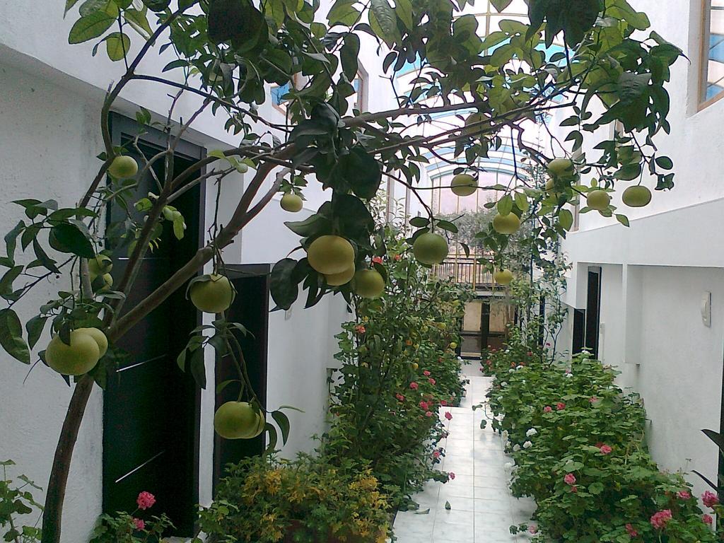 Family Hotel Belvedere Dŭlgopol Dış mekan fotoğraf