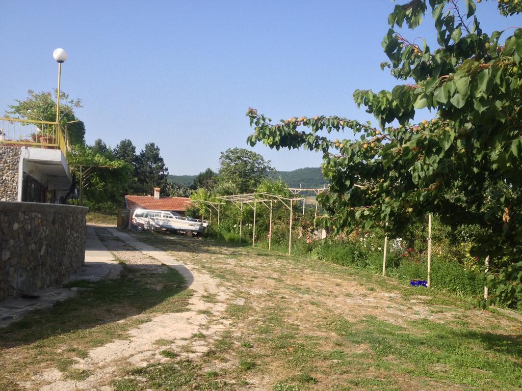 Family Hotel Belvedere Dŭlgopol Dış mekan fotoğraf