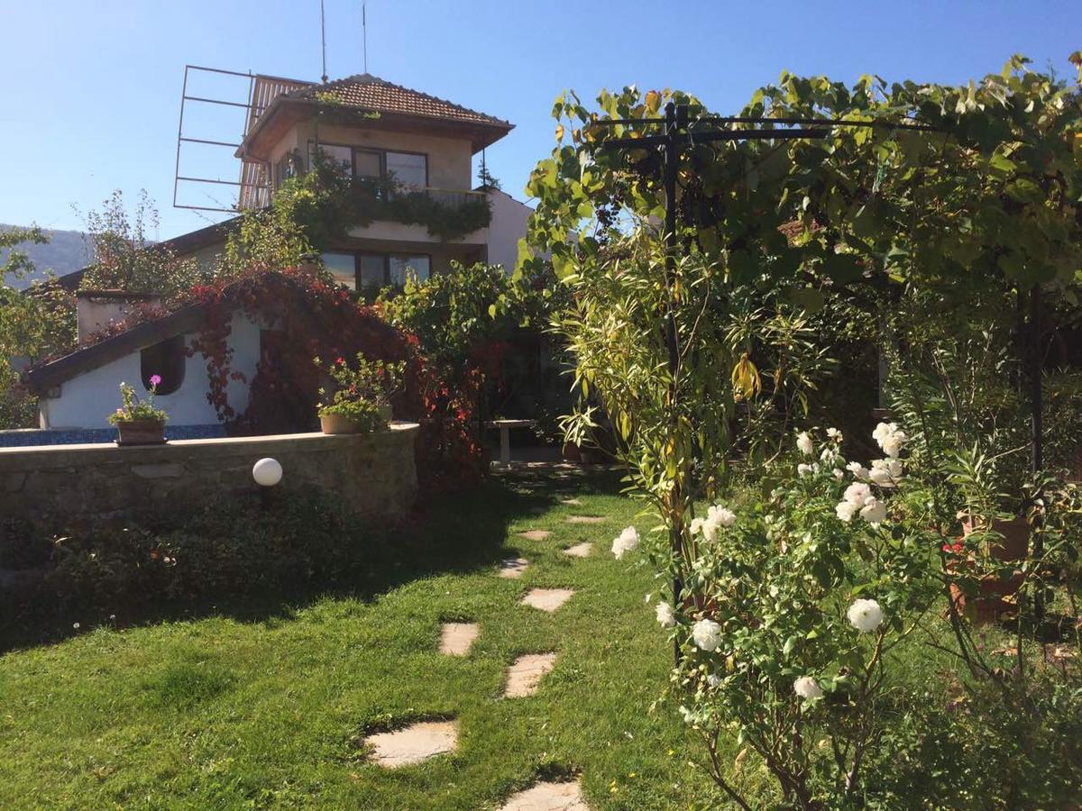 Family Hotel Belvedere Dŭlgopol Dış mekan fotoğraf