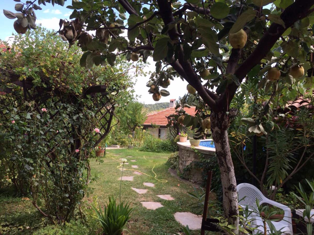 Family Hotel Belvedere Dŭlgopol Dış mekan fotoğraf