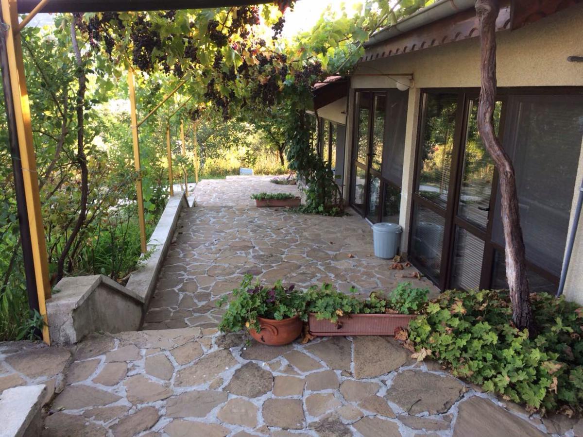 Family Hotel Belvedere Dŭlgopol Dış mekan fotoğraf