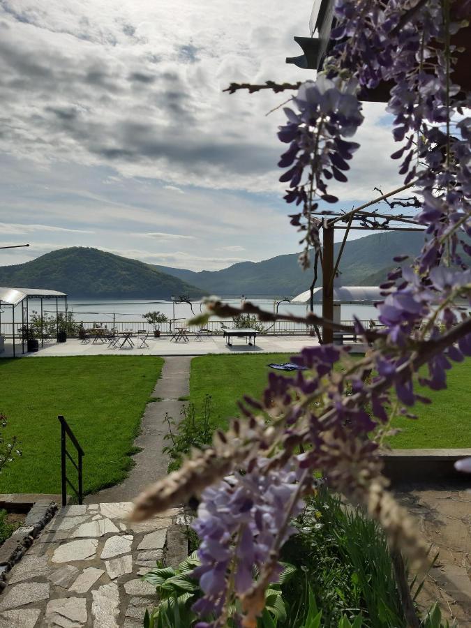 Family Hotel Belvedere Dŭlgopol Dış mekan fotoğraf