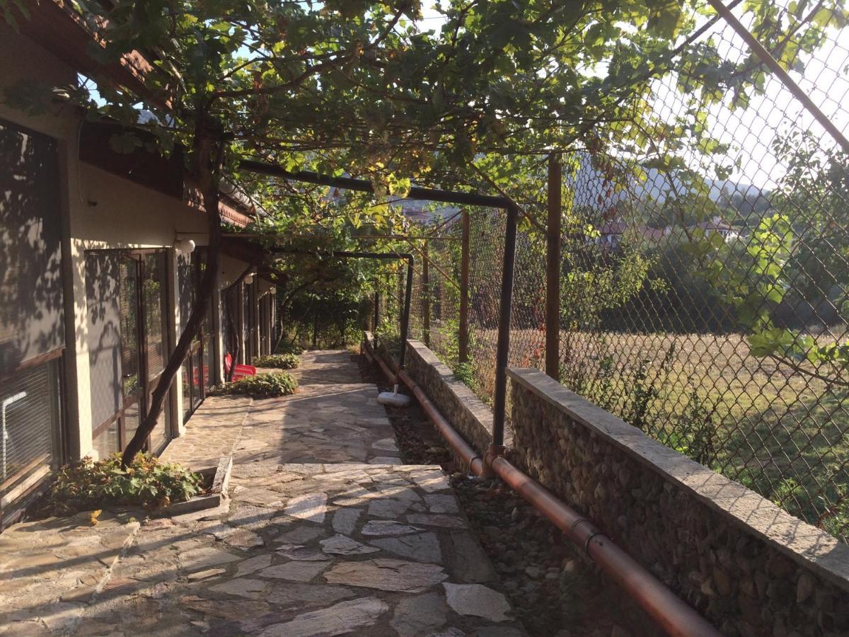 Family Hotel Belvedere Dŭlgopol Dış mekan fotoğraf